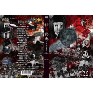 [国内盤DVD] 怪奇動画 怨念回想 全25話