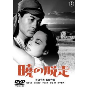 [国内盤DVD] 暁の脱走