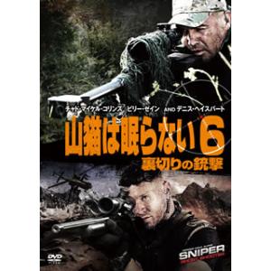 [国内盤DVD] 山猫は眠らない6 裏切りの銃撃｜good-v