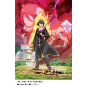 仮面の忍者 赤影 DVD 第3部 根来篇 2枚組 - 映像と音の友社 : 映像と音