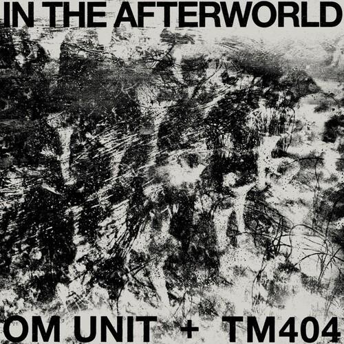 [輸入盤LPレコード][新品]Om Unit/TM404 / In The Afterworld(2...