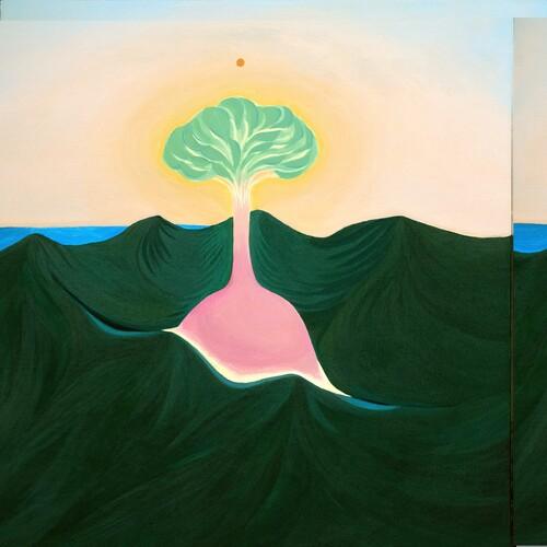 [輸入盤LPレコード][新品]EVISBEATS &amp; NAGIPAN / SUITEN(2025/1...