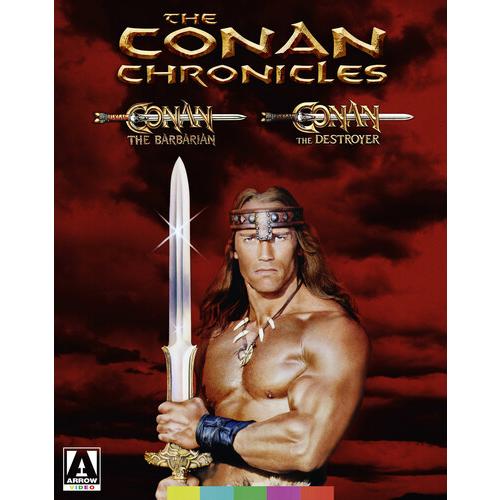 The Conan Chronicles: Conan the Barbarian / Conan ...