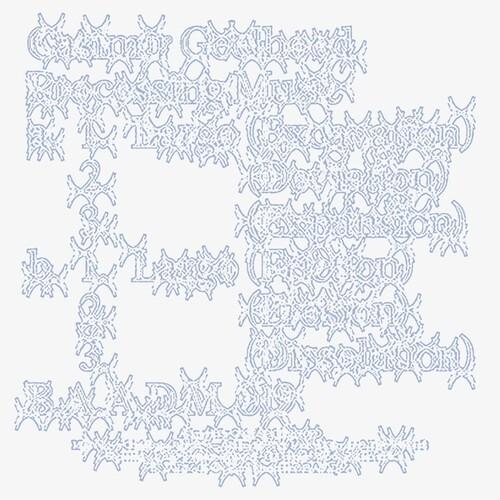 [輸入盤LPレコード][新品]CASIMIR GEELHOED / PROCESSING MUSIC...