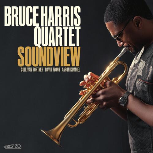 [輸入盤CD][新品]Bruce Harris / Soundview(2021/6/4発売)