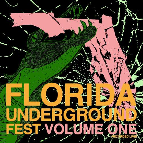 [輸入盤LPレコード][新品]VA / FLORIDA UNDERGROUND FEST 1(202...