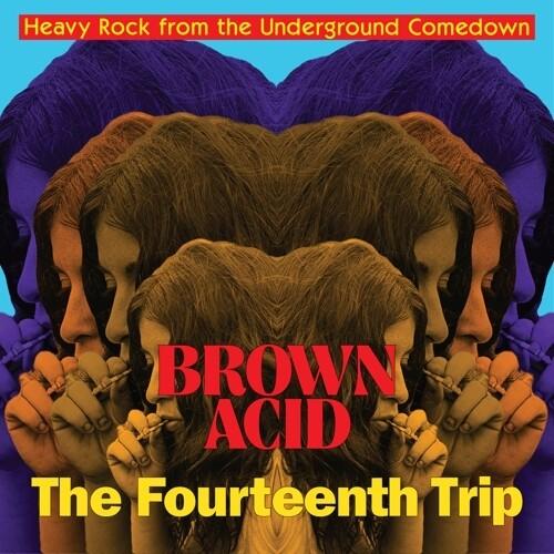 [輸入盤LPレコード][新品]VA / Brown Acid - Fourteenth Trip(2...