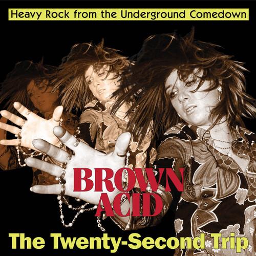 [輸入盤LPレコード][新品]VA / BROWN ACID - TWENTY-SECOND TRI...