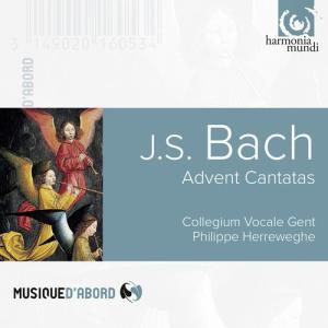 Bach/Herreweghe/Collegium Vocale Gent / Advent Cantatas