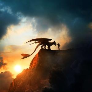 [輸入盤LPレコード][新品]JOHN POWELL (Soundtrack) / HOW TO TRAIN YOUR DRAGON (Colored Vinyl) (140gram Vinyl)(2025/11/7発売)
