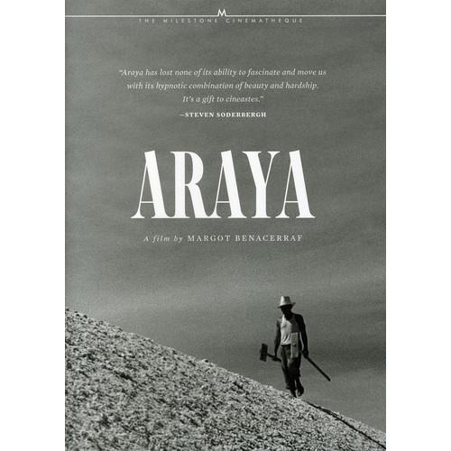 ARAYA (輸入盤DVD)[新品]