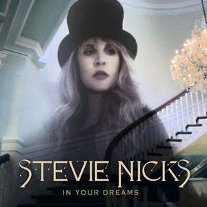STEVIE NICKS / IN YOUR DREAMS(スティーヴィー・ニックス) (輸入盤DV...