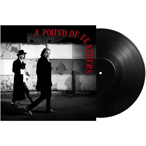 [輸入盤LPレコード][新品]BLACK CROWES / POUND OF FEATHERS (1...