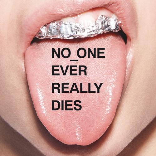 [輸入盤CD][新品]N.E.R.D / No One Ever Really Dies (2017...