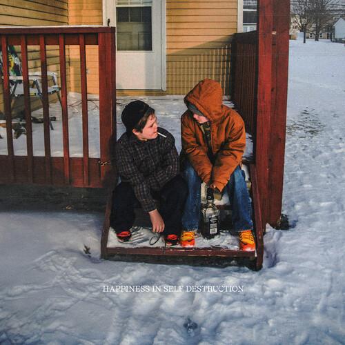 [輸入盤LPレコード][新品]PLOT IN YOU / HAPPINESS IN SELF DES...