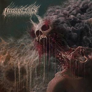 [輸入盤CD][新品]HIERARCHIES / HIERARCHIES (Digipak)(2025/1/17発売)