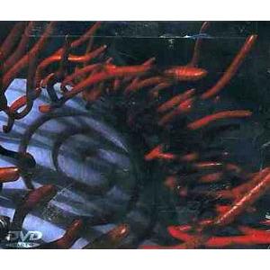 TOOL / SCHISM(トゥール) (輸入盤DVD)[新品]