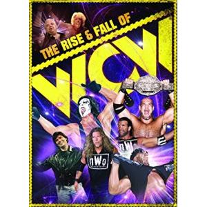 RISE & FALL OF WCW