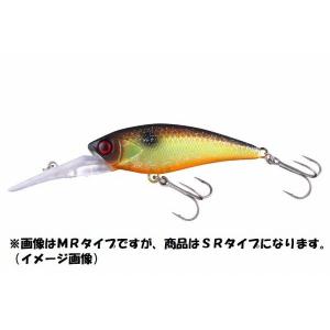 JACKALL】ジャッカル D-BILLS SHAD SR ディービルシャッド 疑似餌 釣り