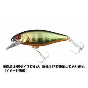 リバースエッジ ジャイアントルアーメールボックス ポッパー No.051