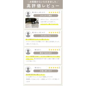 電気湯たんぽ 充電式 蓄熱式 温度調整 コード...の詳細画像1