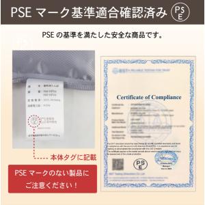 電気湯たんぽ 充電式 蓄熱式 温度調整 コード...の詳細画像4