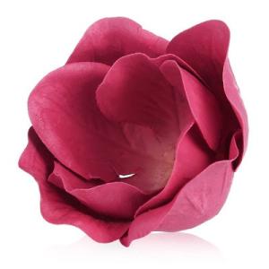 ラデュレの商品一覧 通販 Yahoo ショッピング