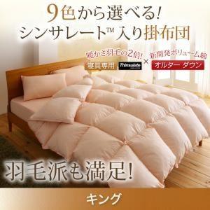 〔単品〕掛け布団 キング モカブラウン 9色から選べる シンサレート入り掛布団 〔単品〕掛け布団 キング モカブラウン 9色から選べる シンサレート入り掛布団