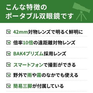 双眼鏡 倍率 10倍 42mm 対物レンズ ス...の詳細画像2
