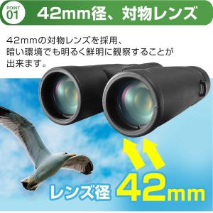 双眼鏡 倍率 10倍 42mm 対物レンズ ス...の詳細画像3
