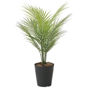 造花 観葉植物「パームツリー 65cm」 光触媒(空気清浄) インテリアグリーン 光の楽園｜goodfellow