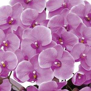 造花 光触媒 アートフラワー アレンジ 「エレ...の詳細画像1