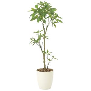 造花 観葉植物 「フレッシュ・パキラ 130cm」 光触媒 空気清浄 インテリア グリーン｜goodfellow