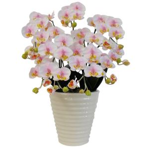 胡蝶蘭 鉢植 S(普通)サイズ 5本立 絞りピンク 白鉢 造花