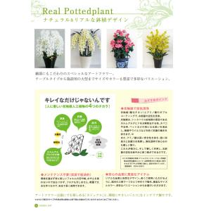 造花の胡蝶蘭 トラッド鉢植『 S(普通)サイズ...の詳細画像5
