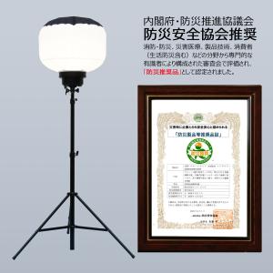【52,800円OFF】 LEDバルーンライト...の詳細画像1
