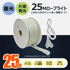 GOODGOODS（グッド・グッズ） 10m LED ロープライト 両面発光 14000LM