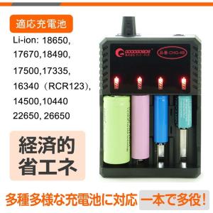 爆買 グッドグッズ リチウムイオン電池専用充電...の詳細画像1