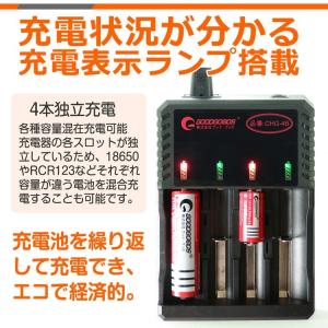 爆買 グッドグッズ リチウムイオン電池専用充電...の詳細画像2