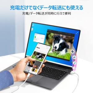 二個セット usb type-c Type-C...の詳細画像4
