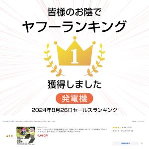 ソーラーパネル 30W 小型 折畳式 急速充電...の詳細画像1