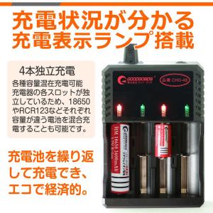 爆買 GOODGOODS 充電池セット マルチ...の詳細画像4
