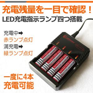 爆買 GOODGOODS 充電池セット マルチ...の詳細画像5