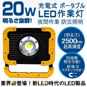 高儀（TAKAGI） EARTH MAN 薄型 LED ワークライト 50W WLT-50LiA 薄型