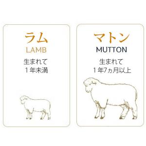 [羊肉] ラム 骨付き角切り ダイスカット 大...の詳細画像3