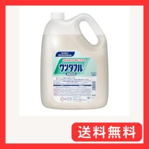 花王プロシリーズ 大容量 花王 ワンダフル 4.5L 業務用 食器用洗剤 野菜洗浄可能 花王プロフェッショナル・サービス