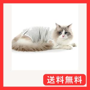 術後服 猫用 ペット術後ウェア 介護服 皮膚保護 不妊手術 傷口保護 避妊 傷舐め 引っ掻き防止 手術用 男の子 女の子 兼用 (M グレー)