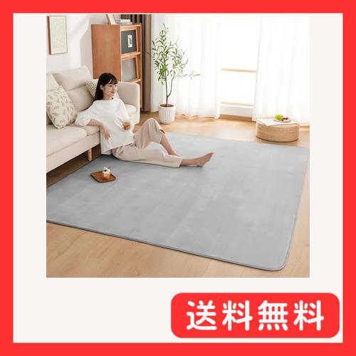 カーペット ラグ ラグマット 絨毯 200×250cm(約3畳) リビングマット 抗菌 防臭 防ダニ...