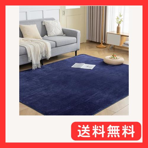 fuwawa ラグ カーペット 滑り止め付 洗える ラグマット 3畳 200×250cm 絨毯 オー...