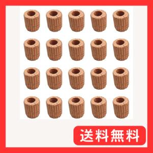 EXDUCT 水槽用 水草 固定リング 20個セット アクアリウム オーナメント カップリング 水草固定リング